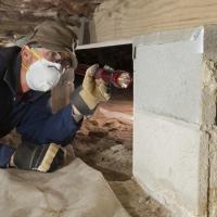 Termite inspector