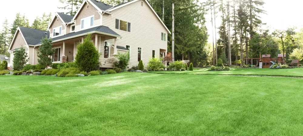 Mosquito free yard