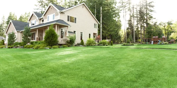 Mosquito free yard